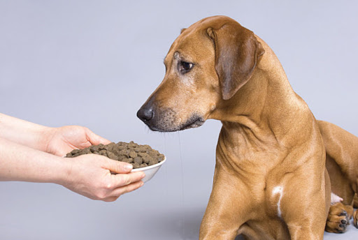 Как перевести собаку с натурального корма на сухой