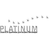 Platinum Platinum