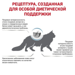 Роял Канин для кошек при пищевой аллергии и/или пищевой непереносимости. Royal Canin Hypoallergenic 0,5 кг
