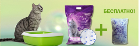 Подарок за покупку силикагелевого наполнителя Lucky Cat