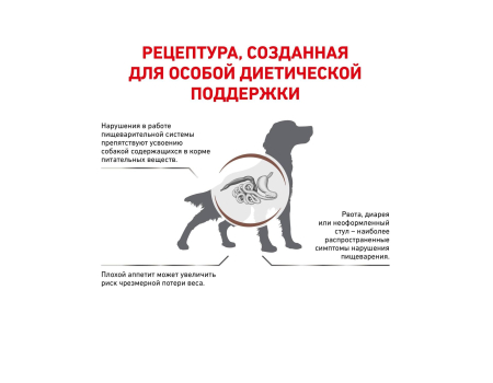 Роял Канин. Корм для собак при нарушении пищеварения. Royal Canin Gastrointestinal 2 кг