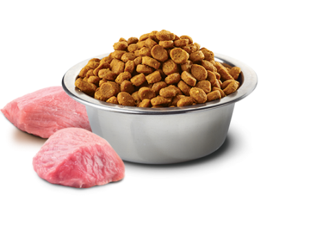 FARMINA. N&D беззерновой. Мясо кабана, яблоко. Полнорационный корм для взрослых собак. 2,5 кг