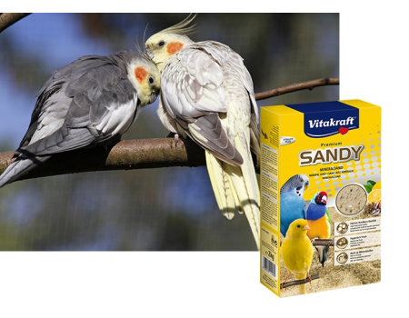 Vitakraft песок для маленьких попугаев Sandy. 2,5 кг